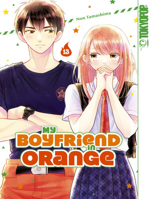 cover image of My Boyfriend in Orange, Band 13
